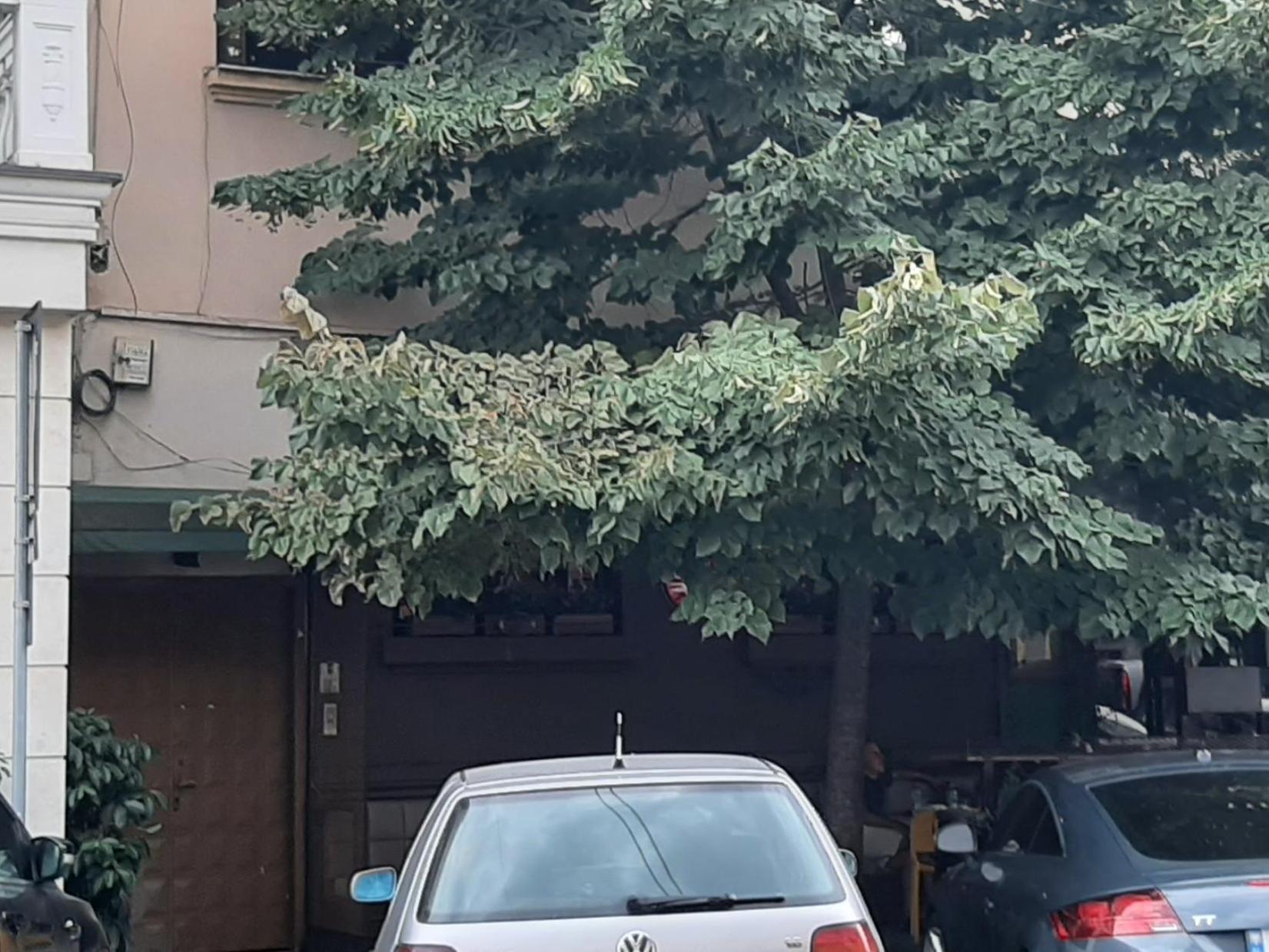 Yes Διαμέρισμα Τίρανα Δωμάτιο φωτογραφία